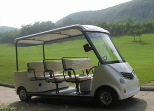 Golf Car Rice Paddie Tour